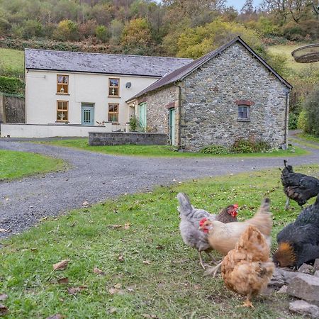 Pwll Farmhouse Llanllawdog Экстерьер фото