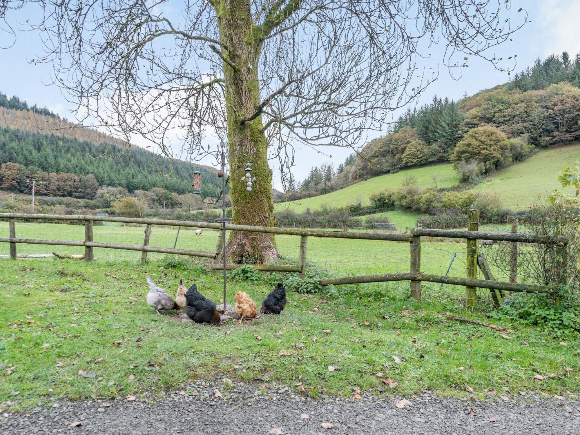Pwll Farmhouse Llanllawdog Экстерьер фото